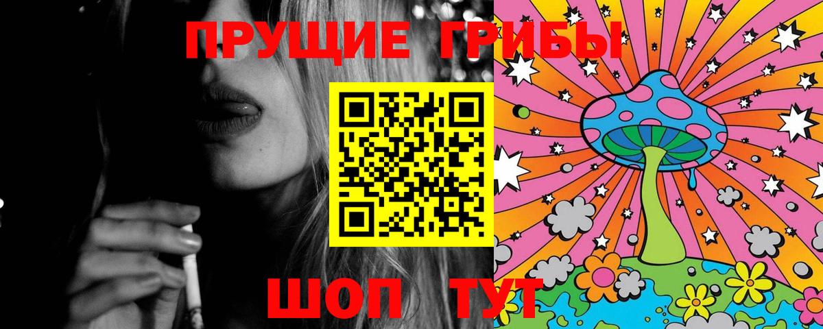 Лесной  Псилоцибиновые грибы Psilocybe  Вход с VPN 